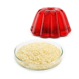 Food Grade Bovine halal Gelatin 280 Bloom Beef Skin Edible Gelatin powder for Food Factory